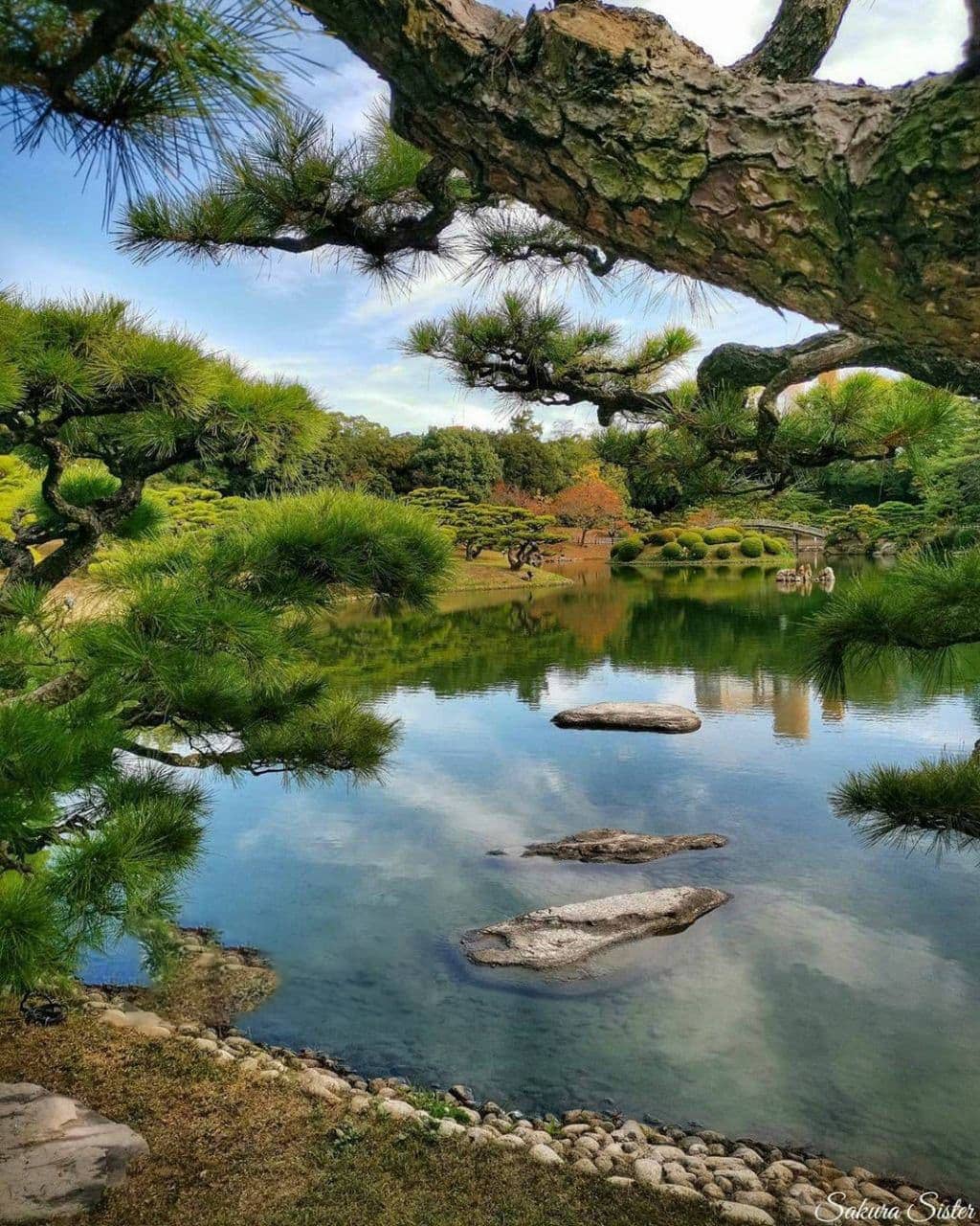 باغ Ritsurin در تاکاماتسو یکی از مشهورترین باغ های تاریخی در ژاپن است😍