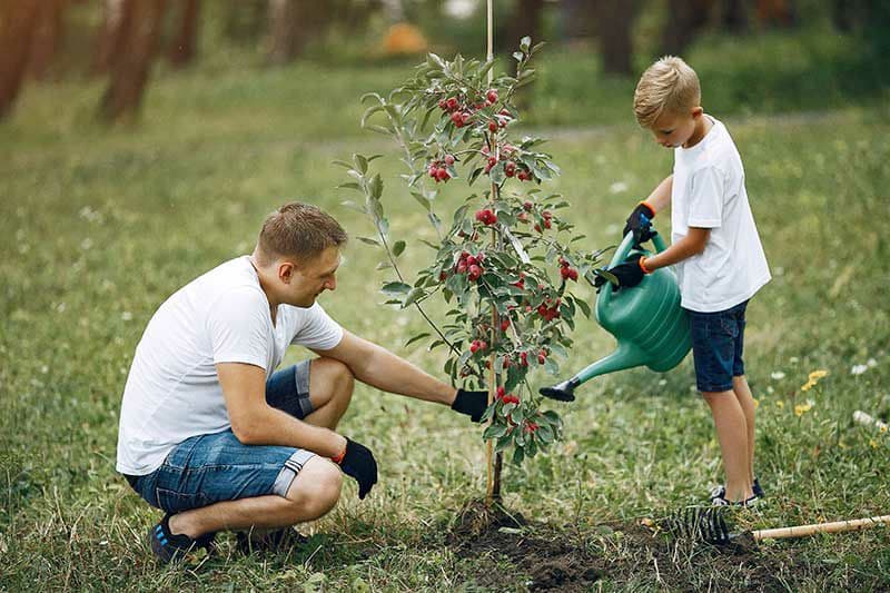به فرزندان خود درخت کاشتن را یاد بدهید. اینگونه انها اینده ای سبزتر خواهند داشت 🌳