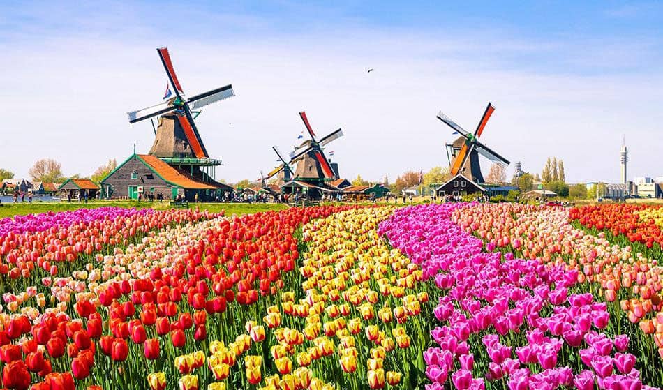 هلند کشور آینده