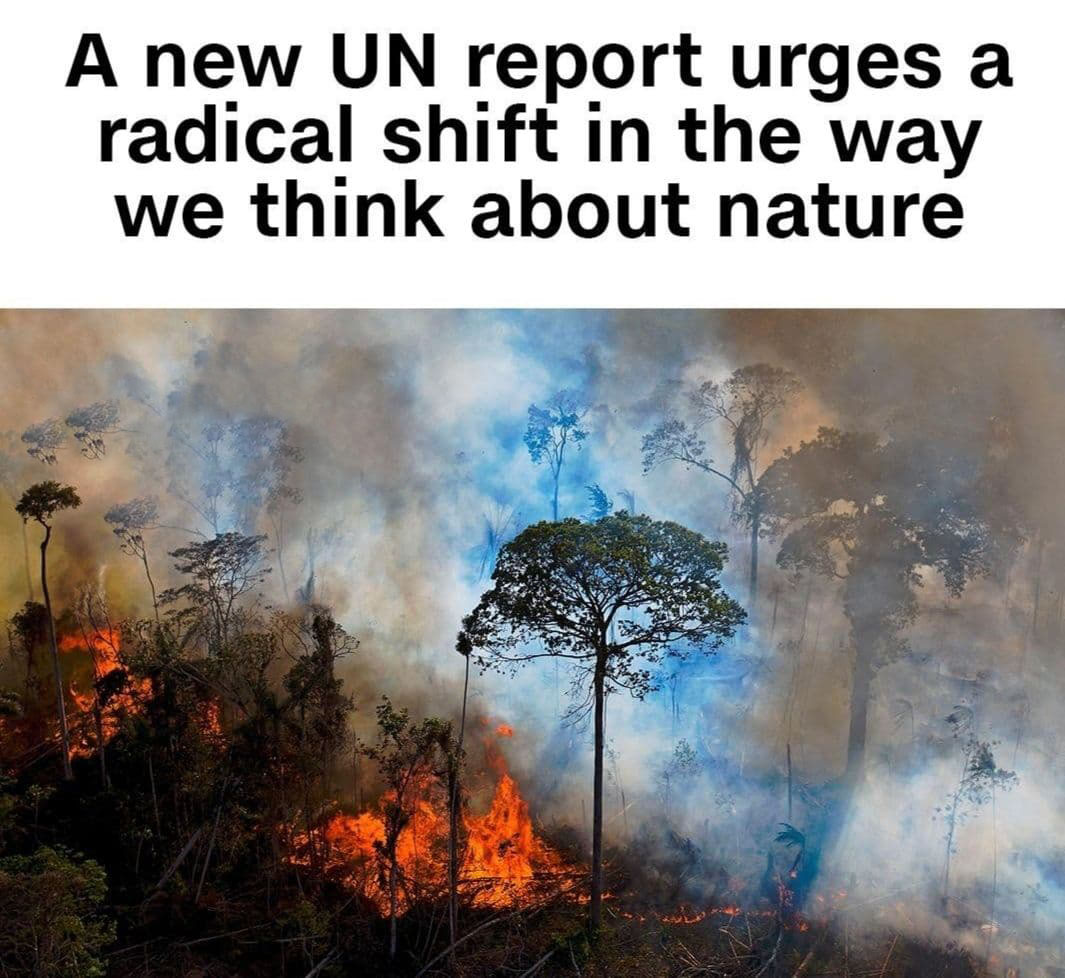 گزارش جدید سازمان ملل متحد خواستار تغییر اساسی در نحوه تفکر ما درباره طبیعت است.