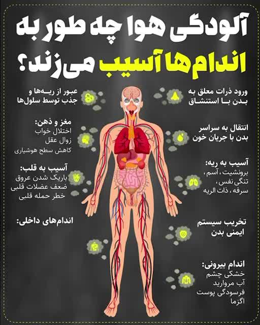 آلودگی هوا به اندام های مختلف بدن چه آسیبی میزند.